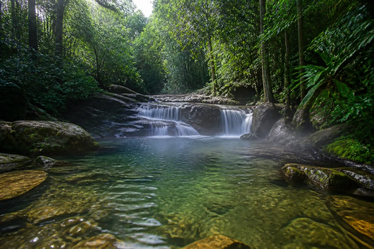 Air terjun hutan bertingkat rendah mengalir ke kolam batu yang cetek di dalam hutan tropika pada waktu pagi