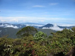 Gunung Chamah